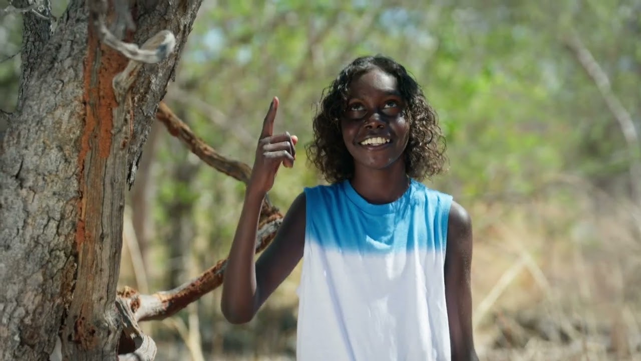 Country is calling at the Cutta Cutta caves in the NT