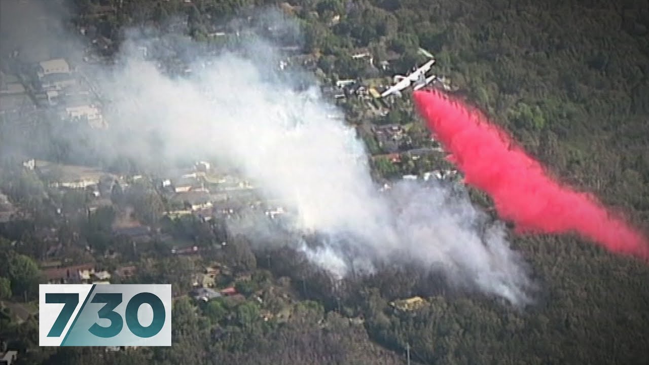 NSW bushfires spread to the Sydney suburb of Turramurra | 7.30