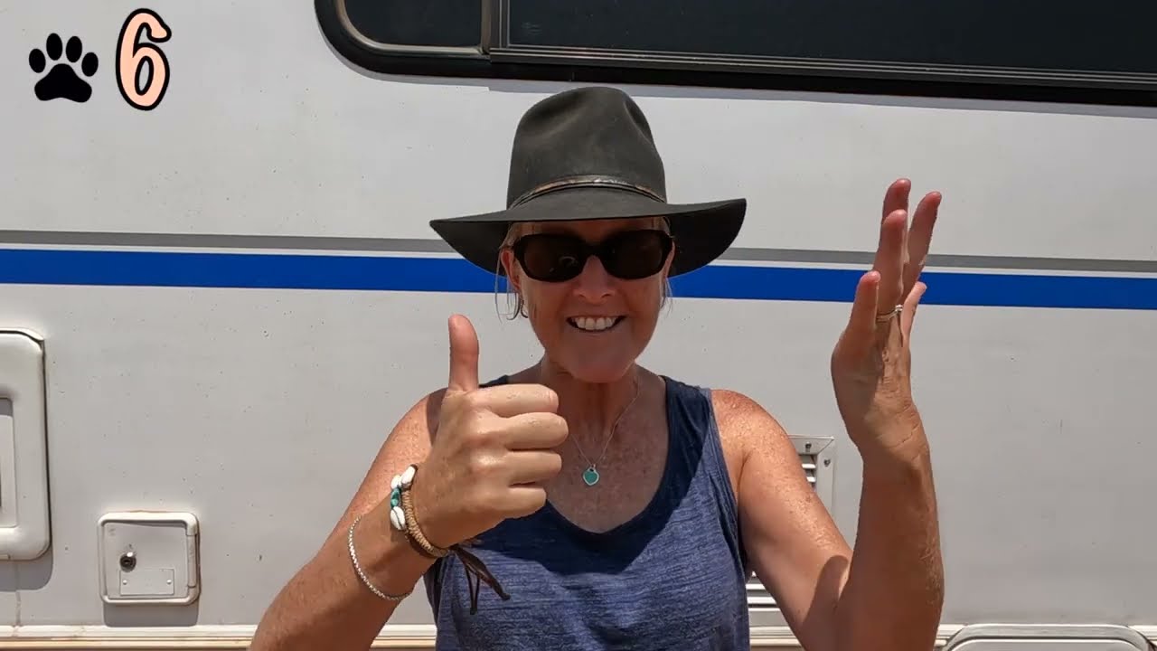 10 tips for travelling Australia with your pet