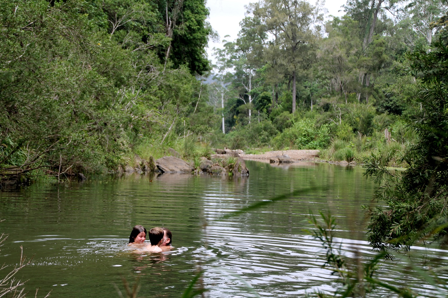 Waterhole Swimming