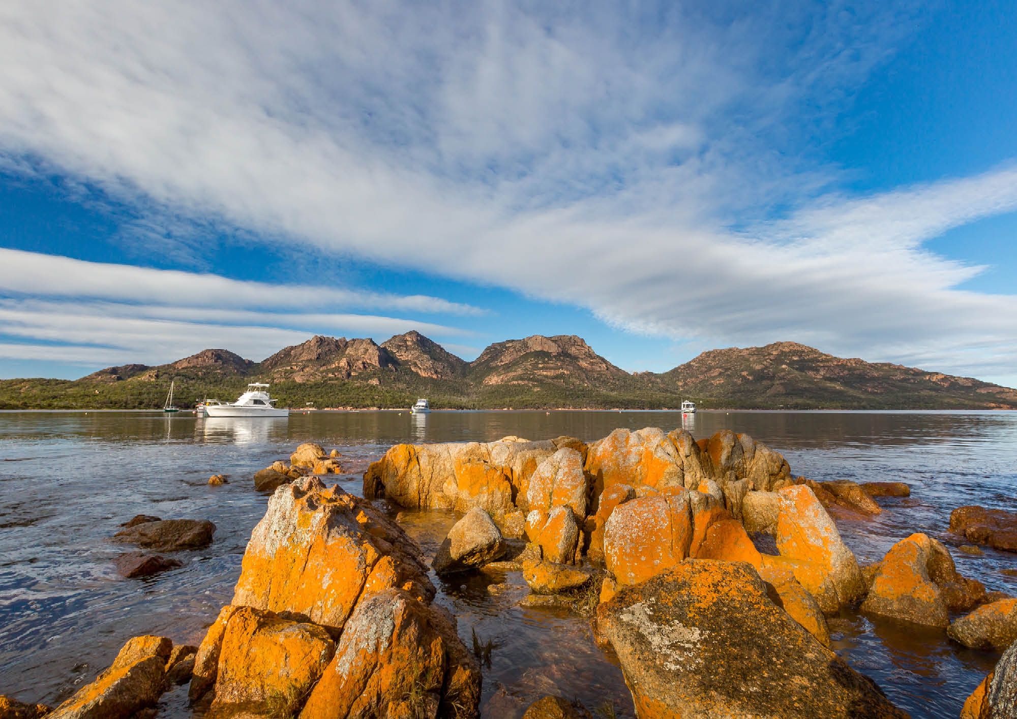 The Big Trip: Tasmania