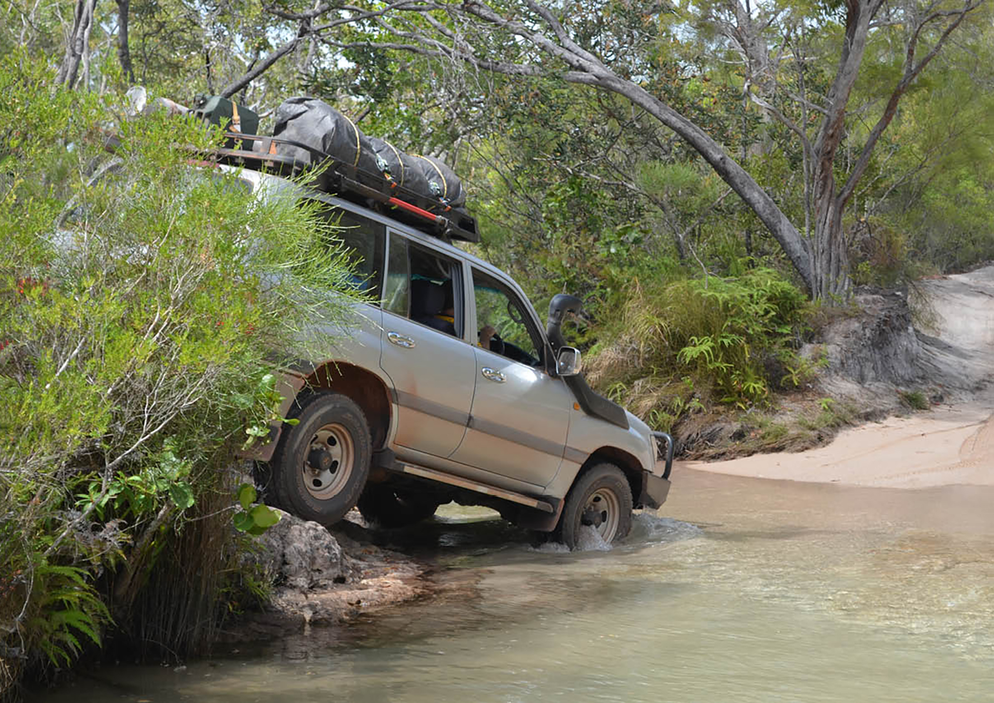 5 Ripper Bush Camps: #004