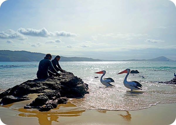 The Weekend Away: Seal Rocks