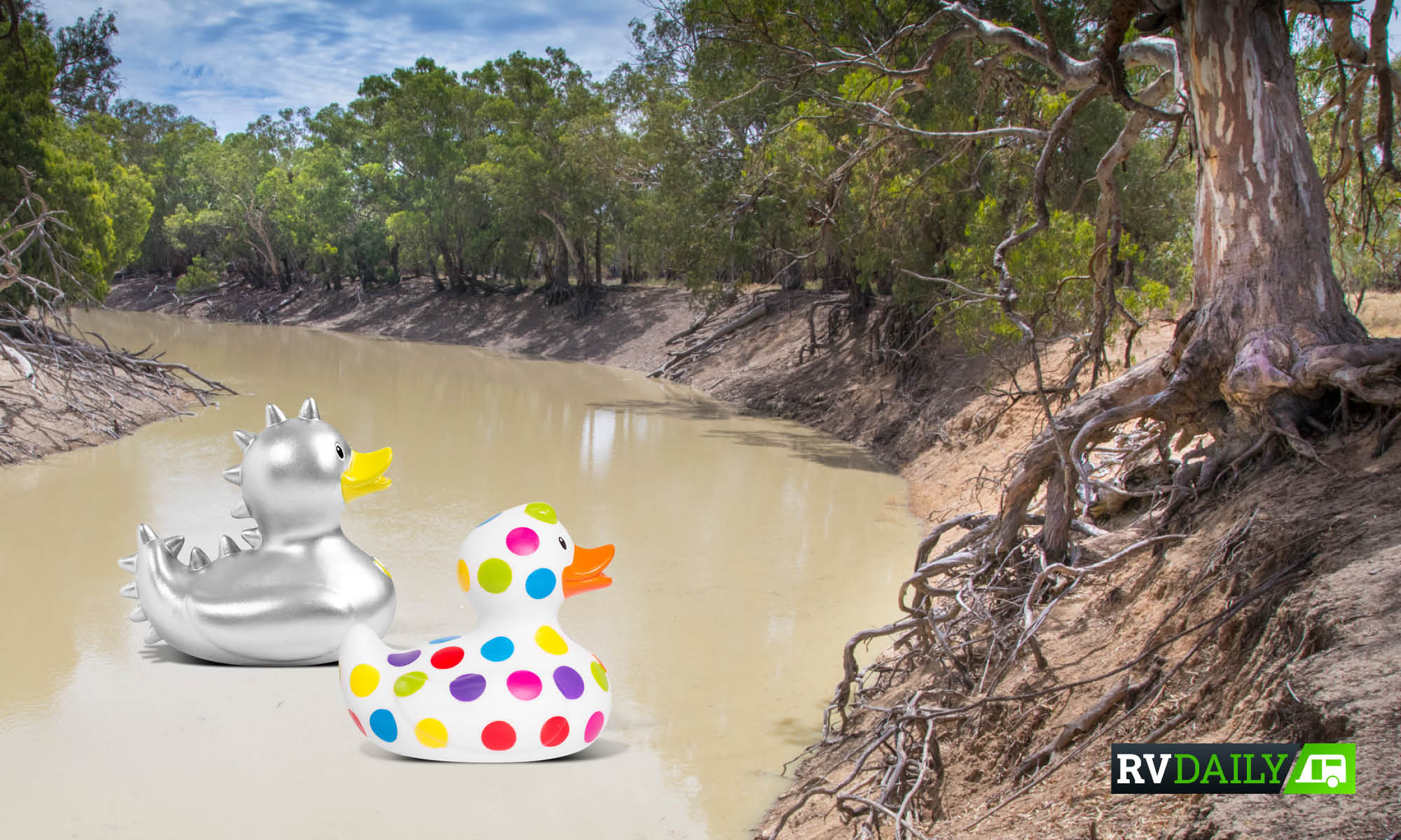 MURRAY-DARLING: WE LITERALLY GIVE TWO DUCKS ABOUT OUR FAMOUS WATERWAYS