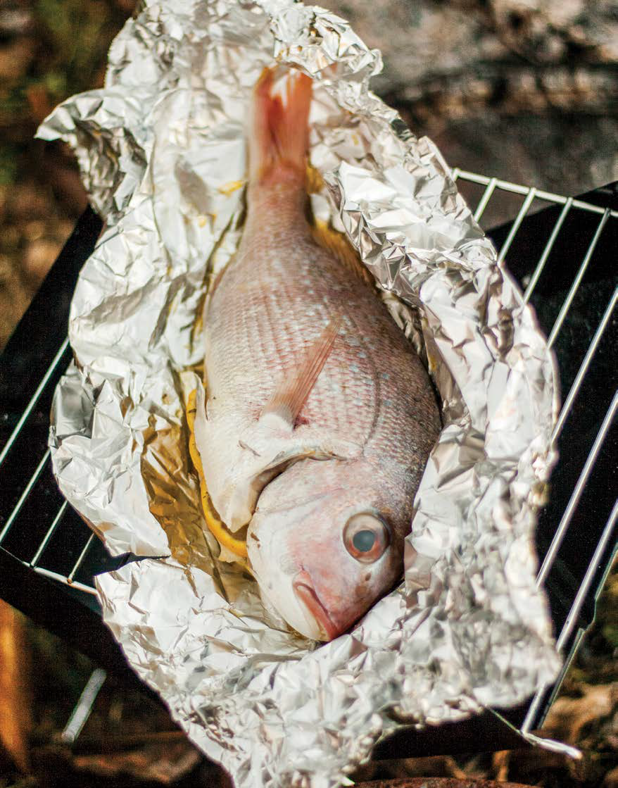 Recipe: BBQ Lucky Fish
