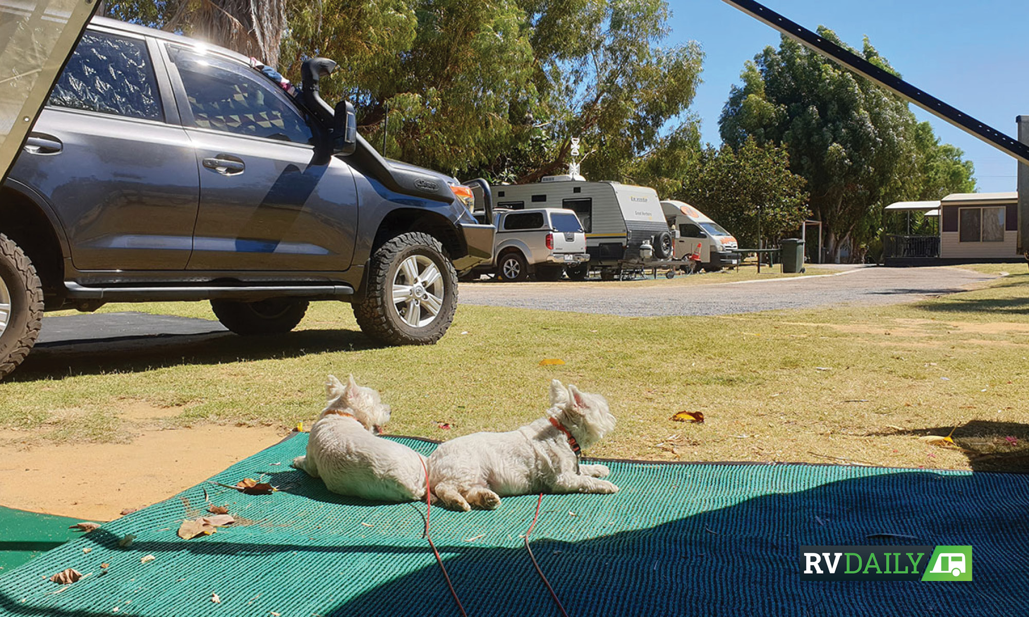dogs at the caravan park 10 commandments  