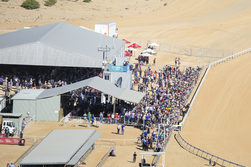 Birdsville Races 2017 © Salty Dingo 2017 10840