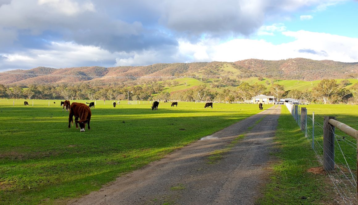 house sitting on a farm