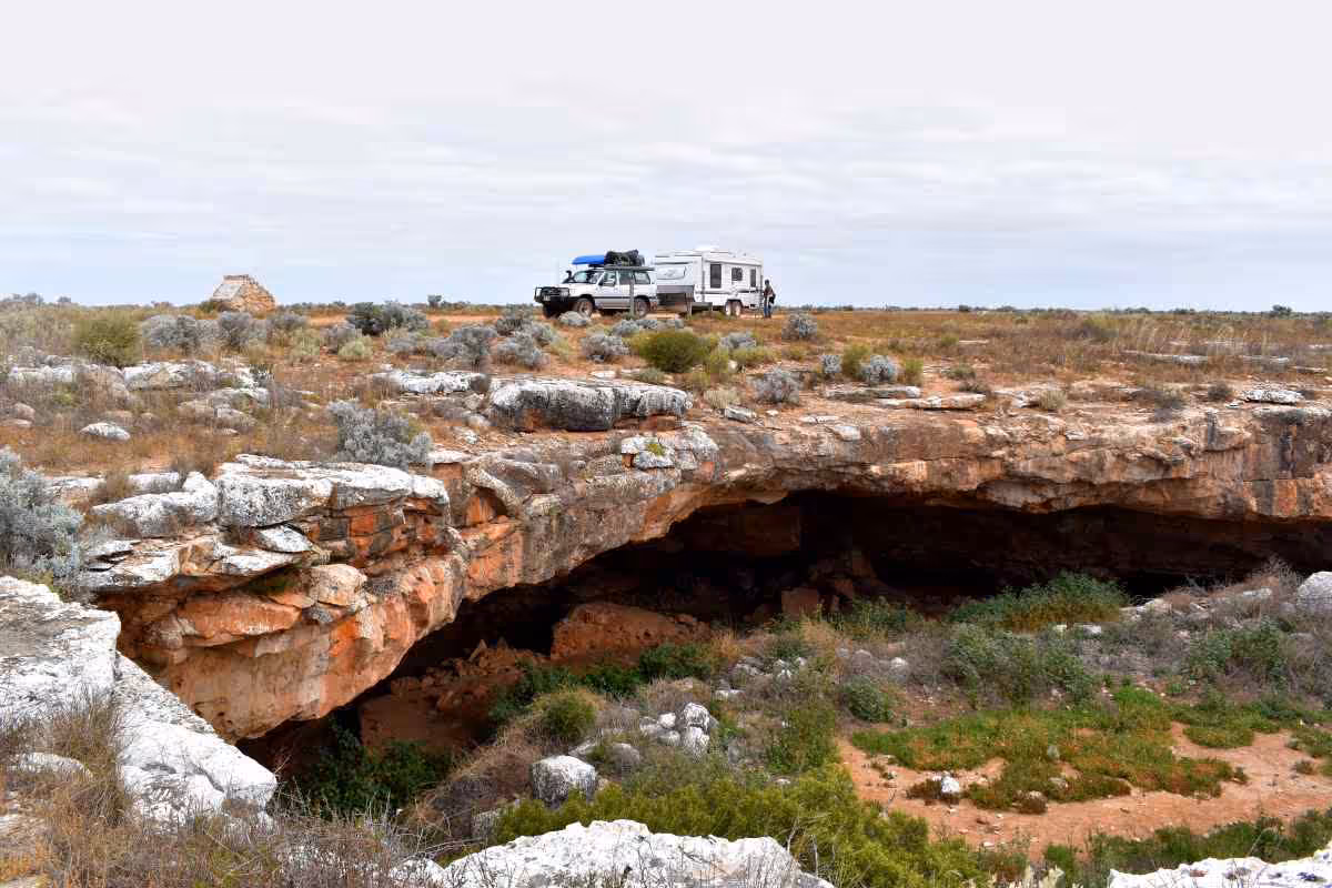 stock routes australia the long paddock