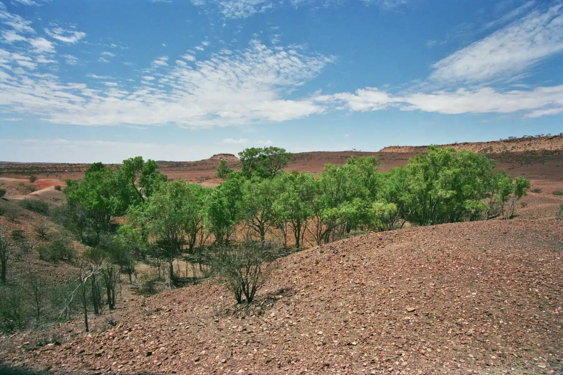 View of crater at Henbury