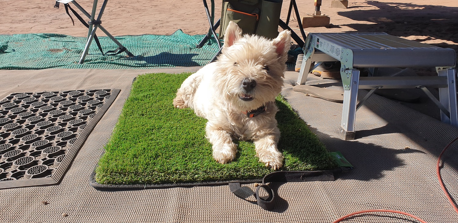 Product Review: Going mad for Muk Mats