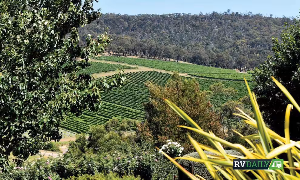 Web Image 049 990x594