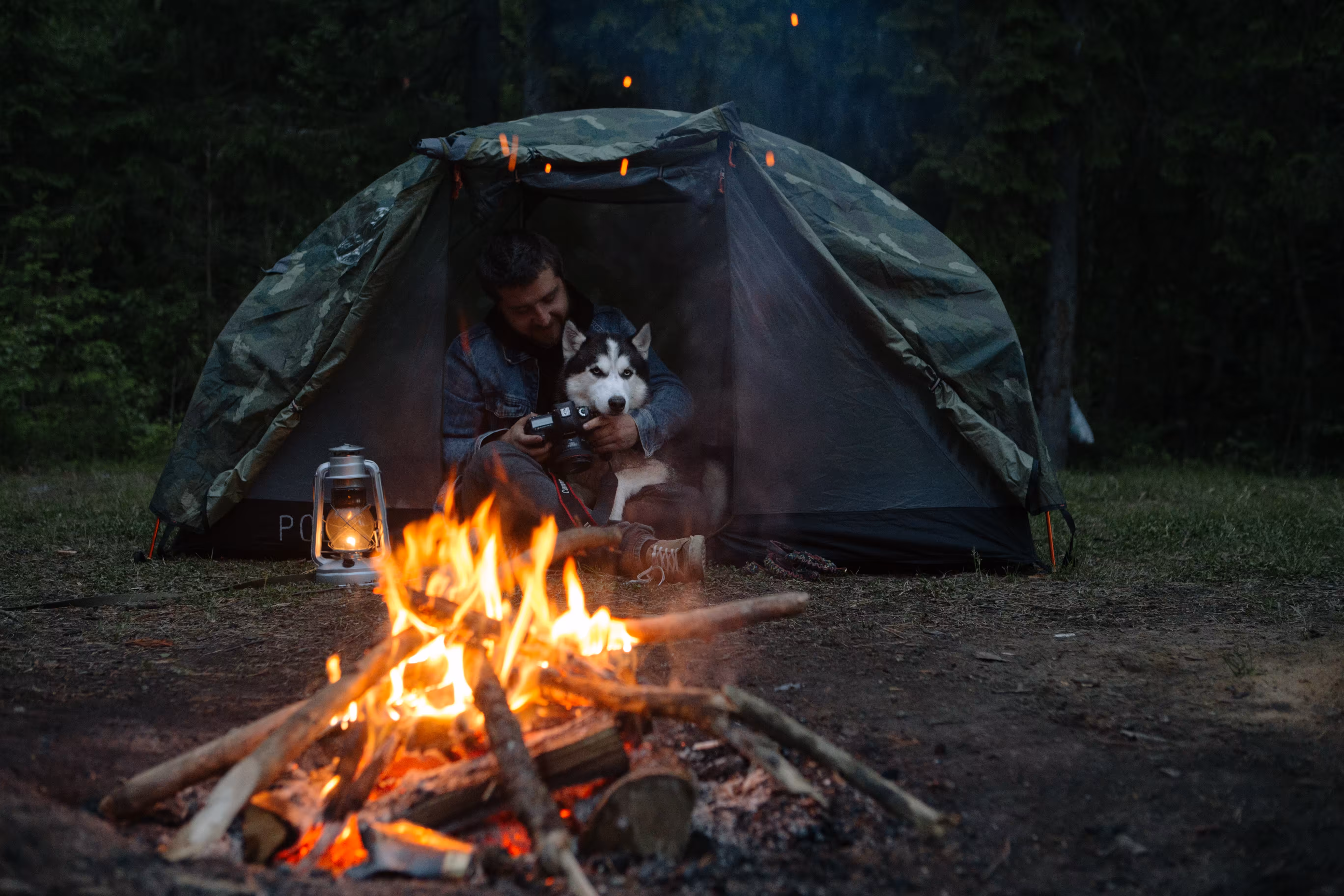 Tent with a dog inside watching a campfire