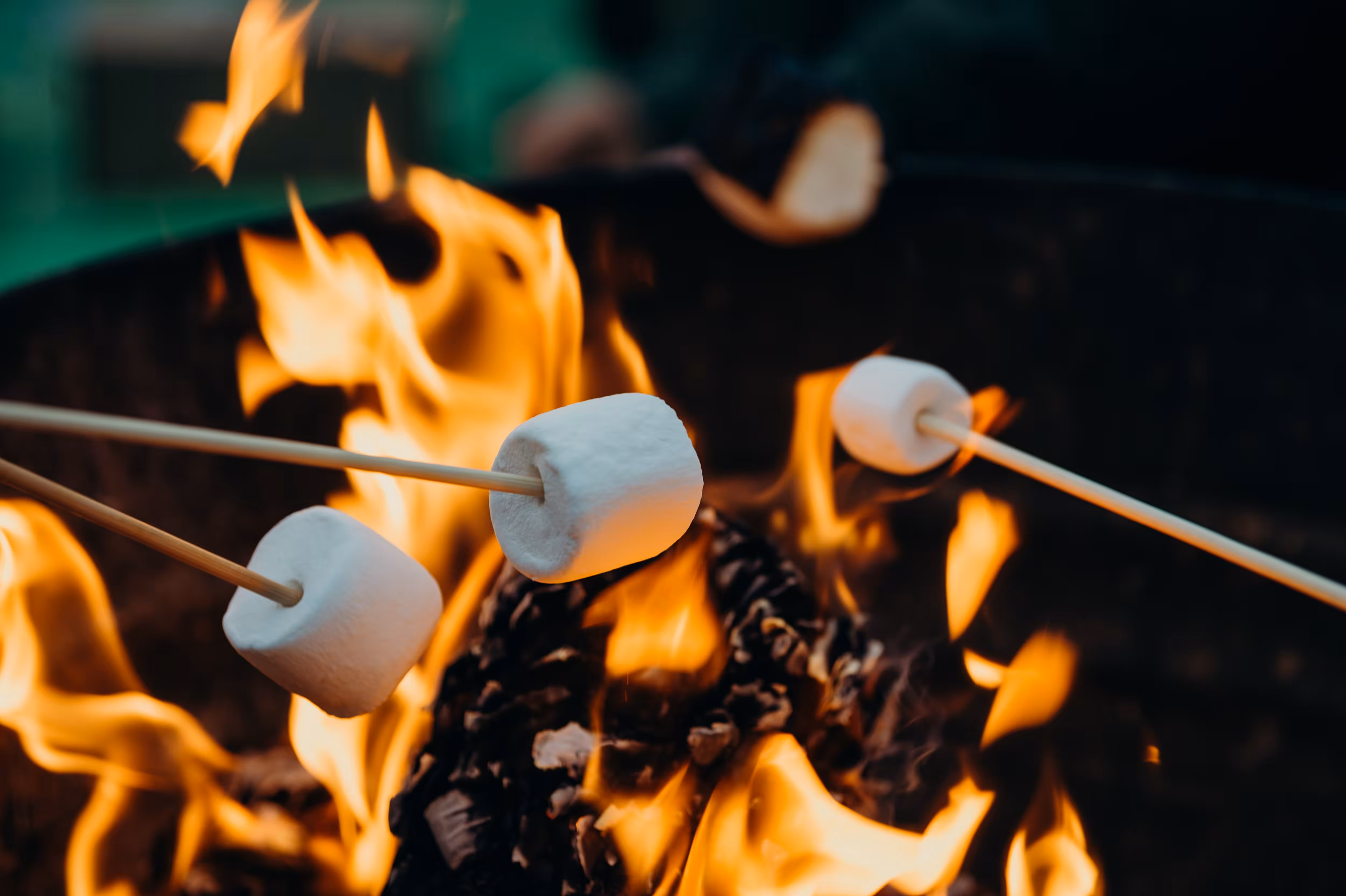 Roasting marshmallows on a campfire