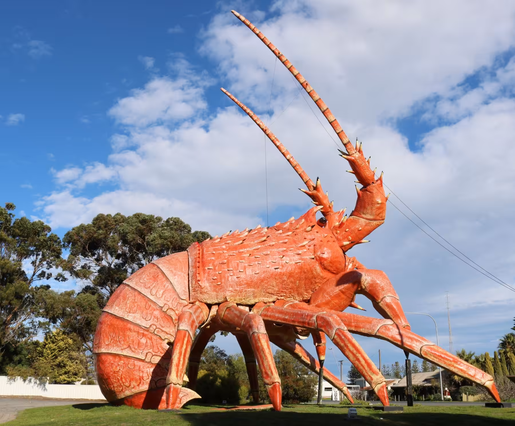 Larry the Lobster in South Australia