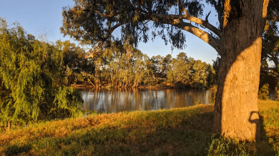 camping spots nsw