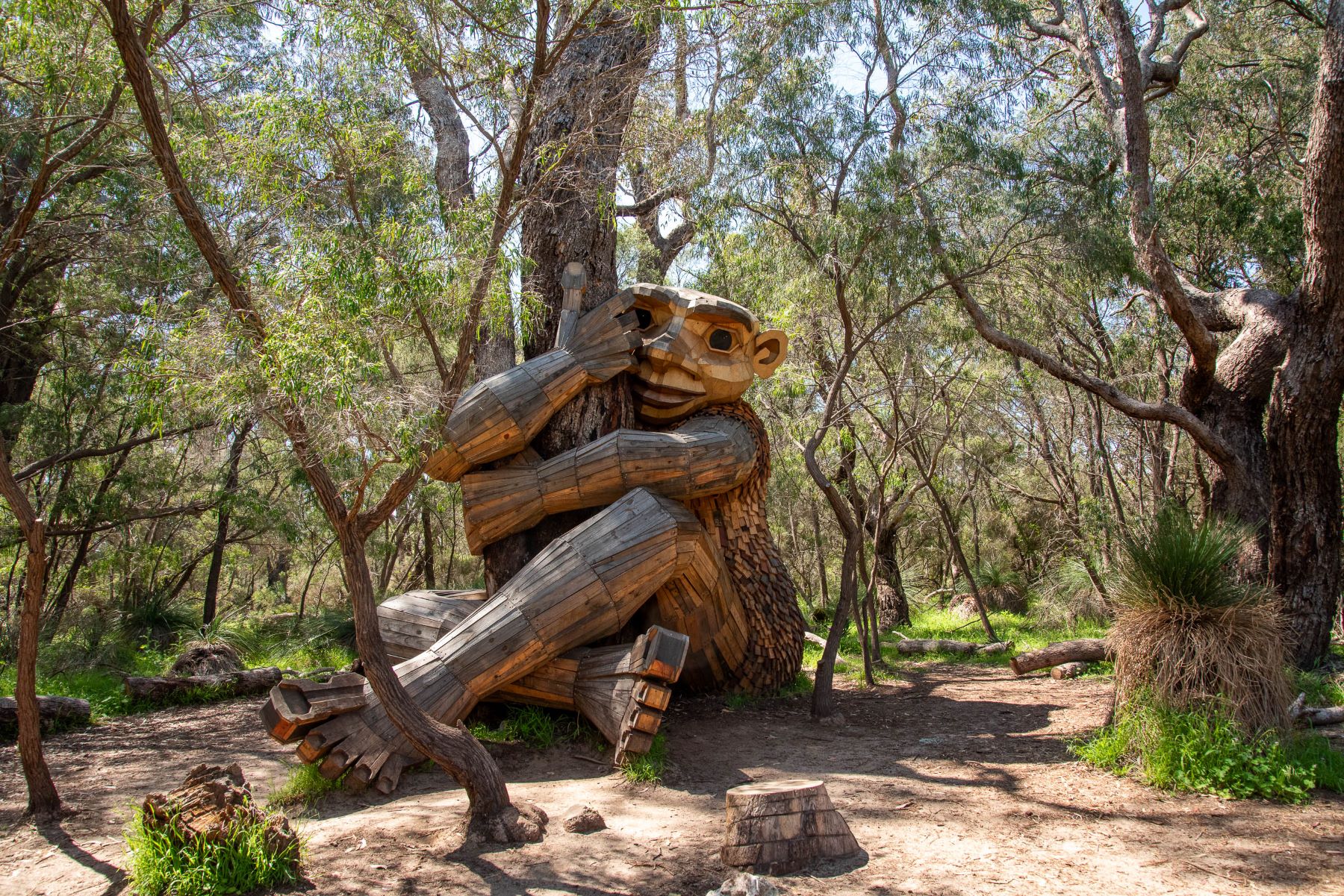 Giants of Mandurah Everything you need to know to find them