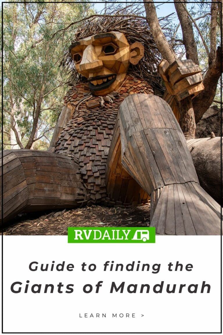 Giants of Mandurah Everything you need to know to find them