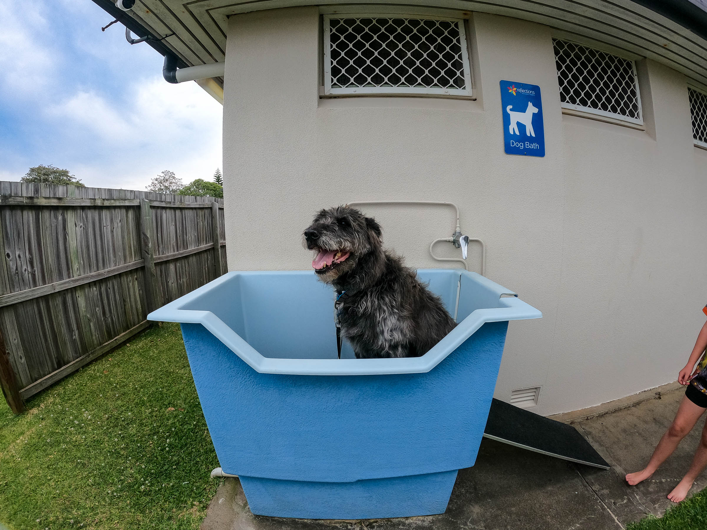 dog friendly holiday park ballina