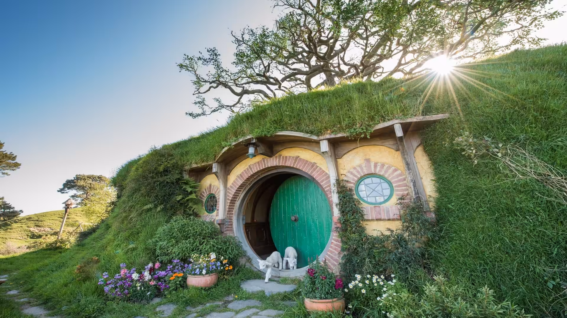 film locations new zealand