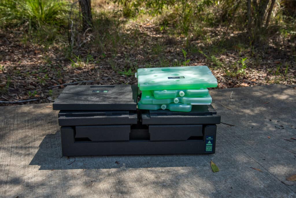 Bouncee collapsible cooler