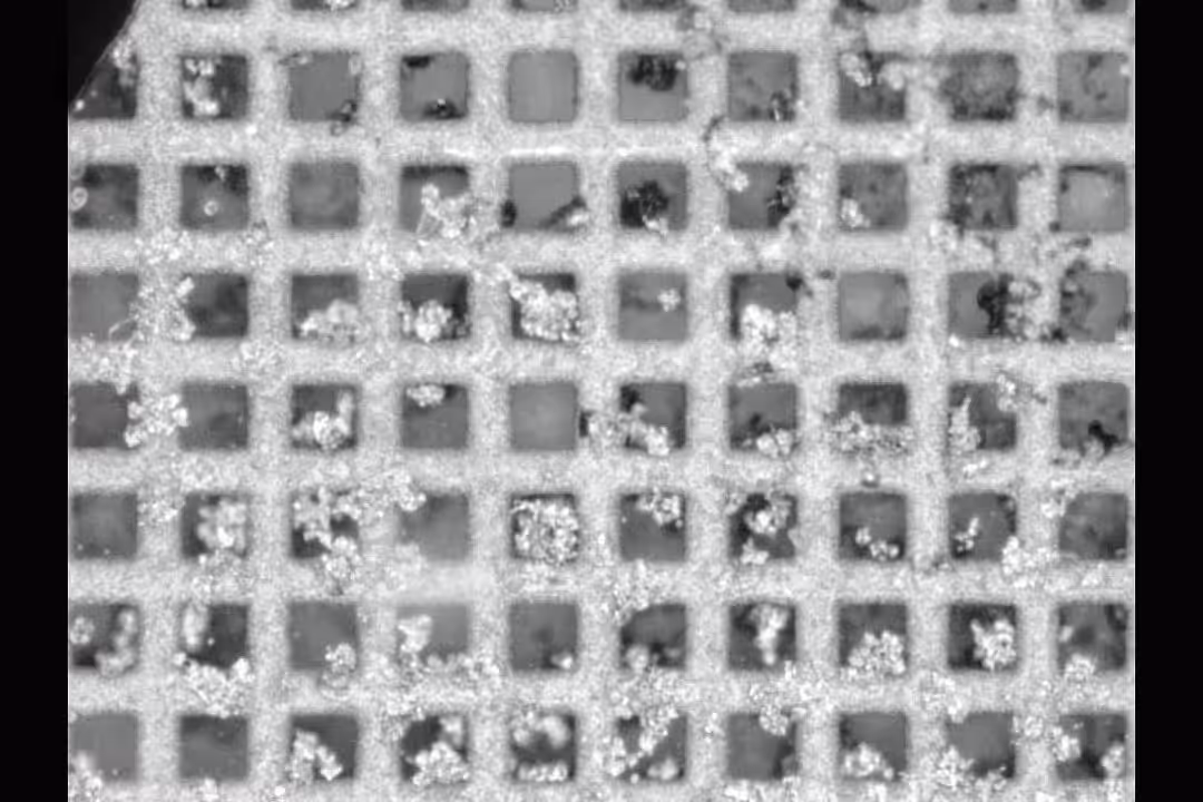 lithium metal batteries