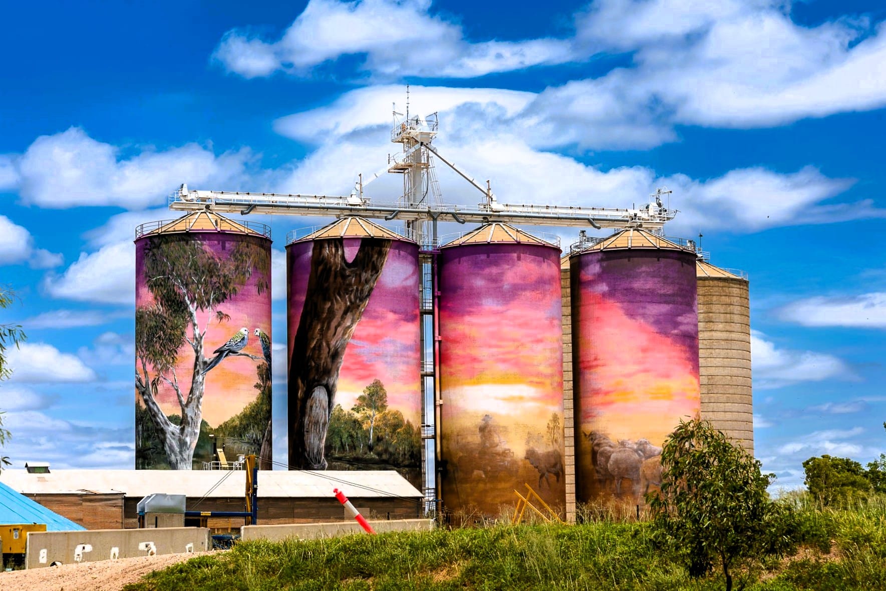 Outback QLD road trip St George