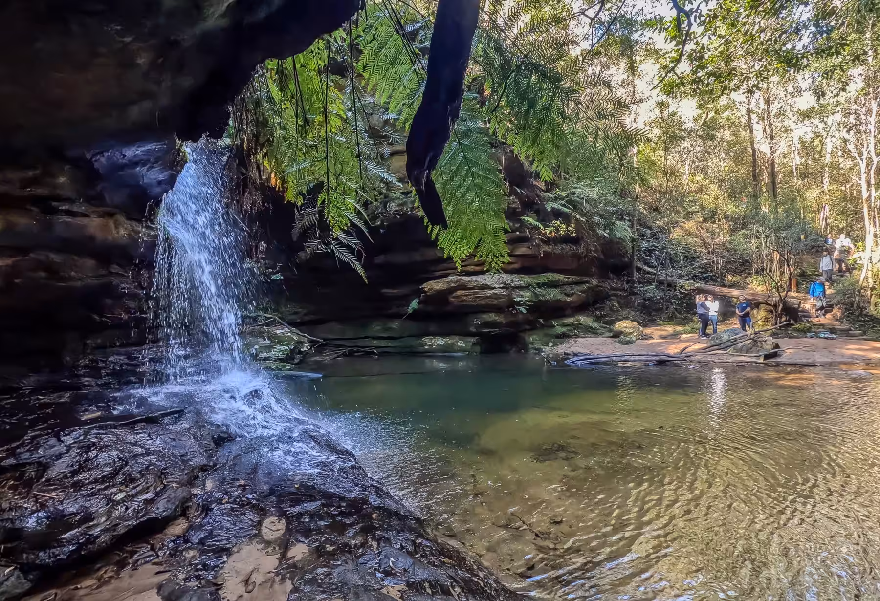 things to do in Katoomba