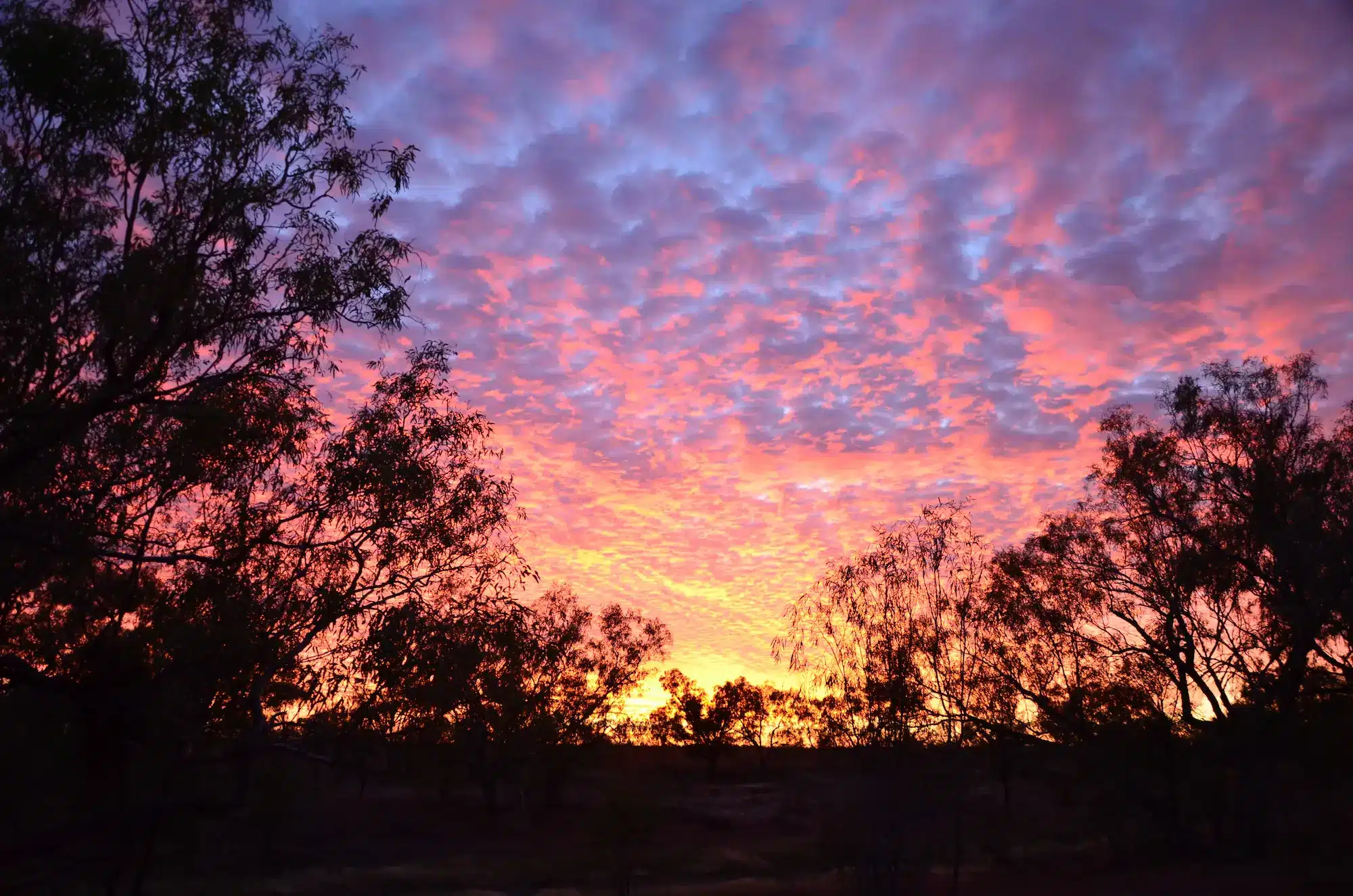 Cooper Creek Sunrise