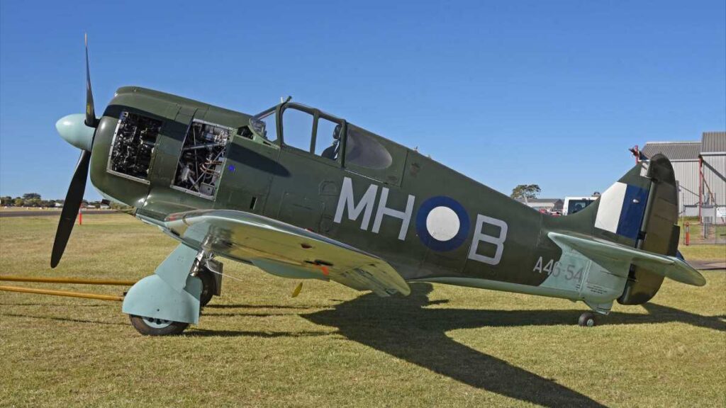 Wings on the Warrego