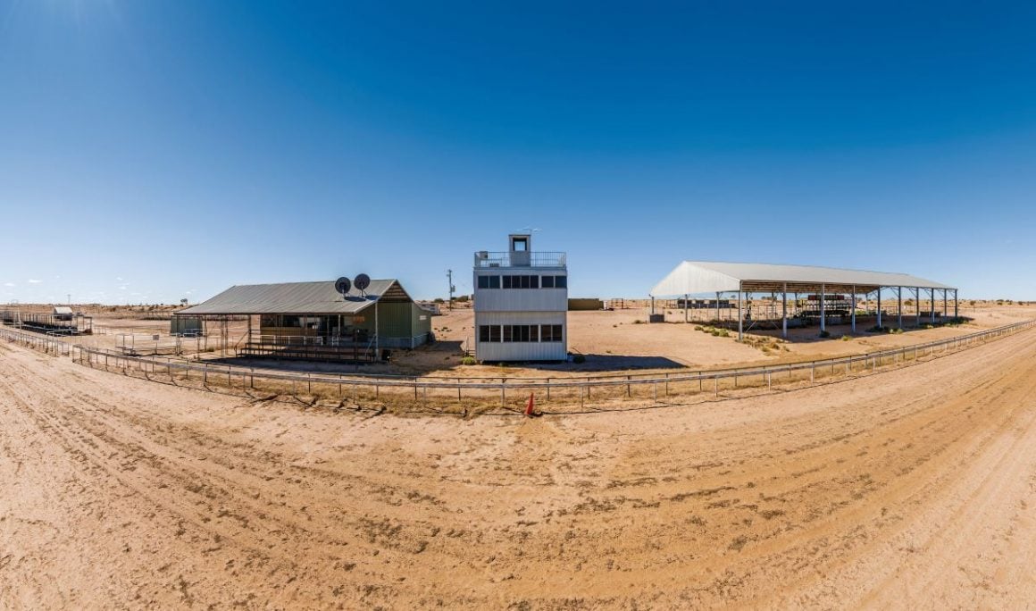 birdsville races 2022