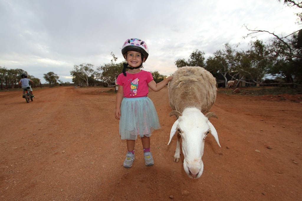 Bullara Still A Working Sheep Station