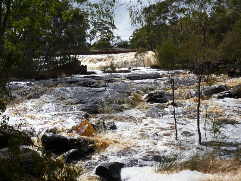 Bush Camps - Fernhook Falls, Mt Frank Sth Np