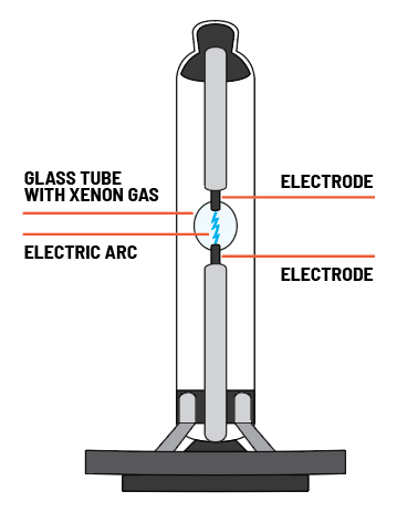 hids vs halogen