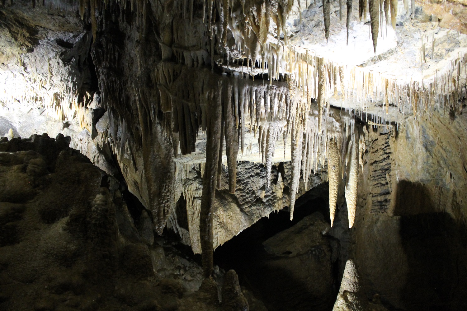 Gunns Plains Caves, Tasmania