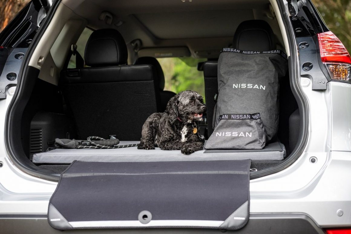 Nissan dog pack