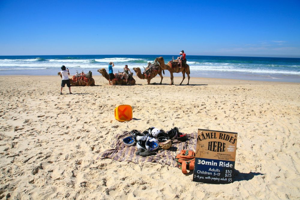 Port Macquarie: you’d be mad not to have a crack at this!