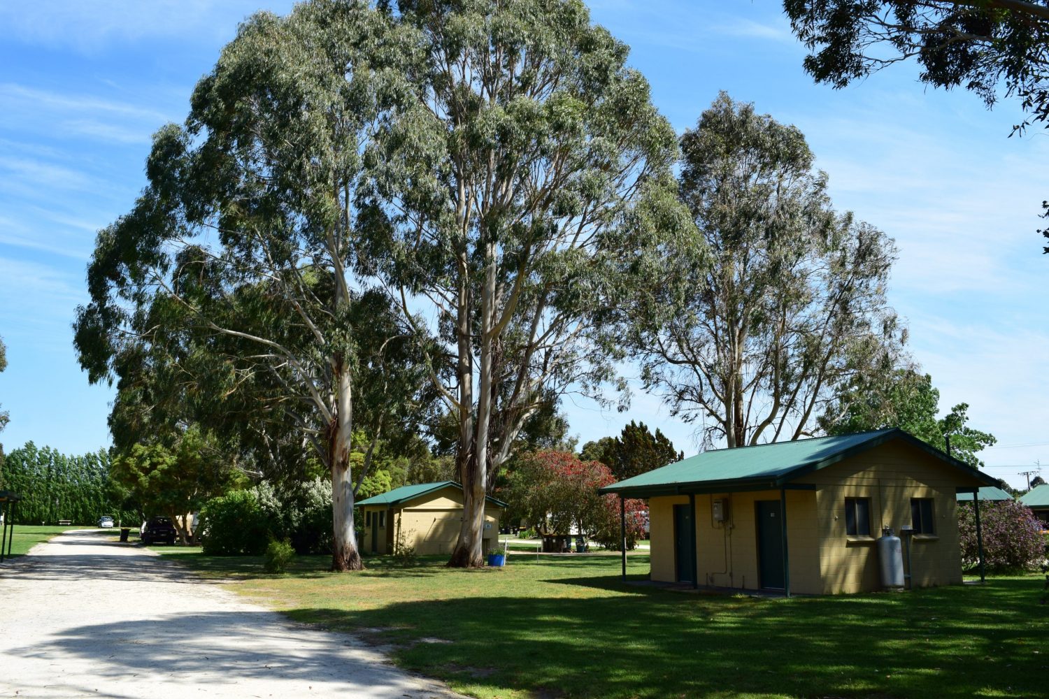 Penola 031