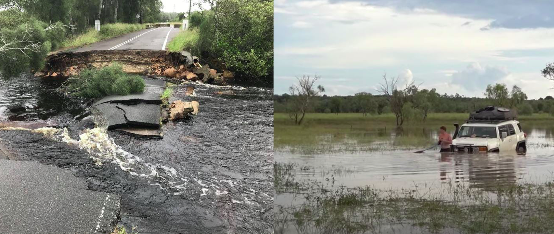 NSW Flood emergency - food damage