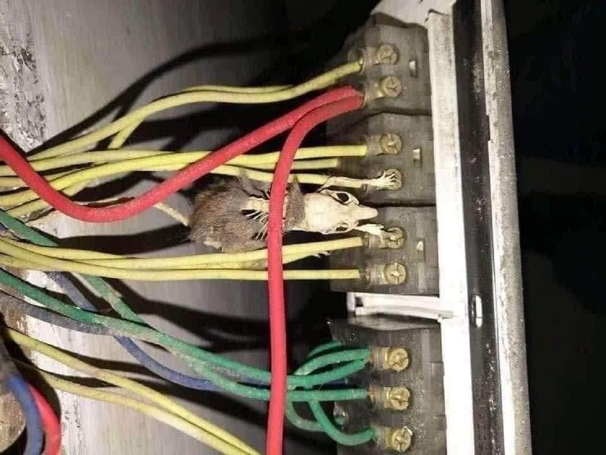 Caravan wiring issue